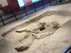 -洛阳周王城天子驾六博物馆