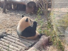 -杭州植物园