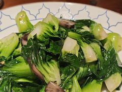 -纳瓦新疆菜(银都店)