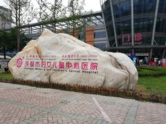 -成都市妇女儿童中心医院(中心院区)