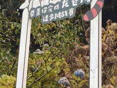 -继红顺河抄手名小吃