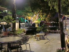 -蘇河湾·新鲁菜·泰山宴(泰山店)
