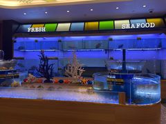 -麒麟中餐厅·经典粤菜·地道菜式老字号(广州长隆酒店)