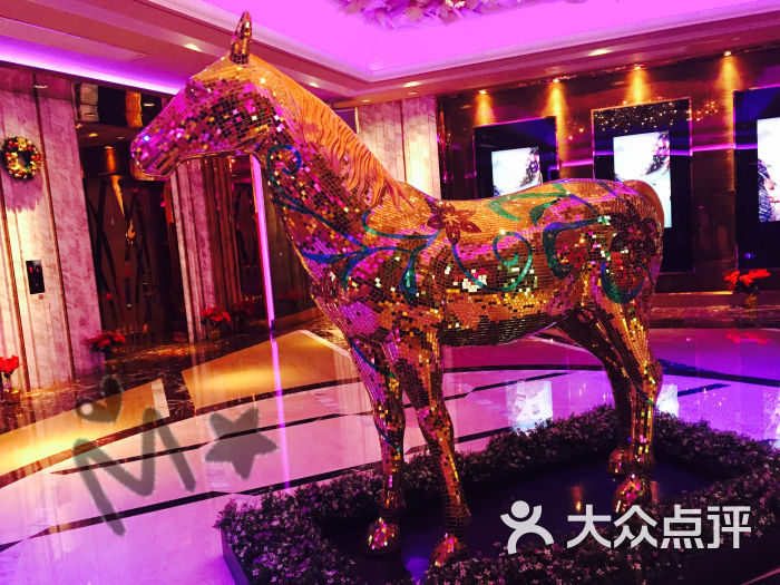 纯k(打浦桥店)-图片-上海k歌-大众点评网