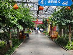 -南宫五洲植物乐园