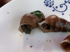 紫苏山坑螺-园林美食城·本土农家菜(杨和镇店)