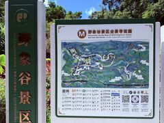 -野象谷景区
