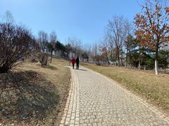 -莫子山公园