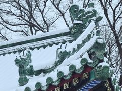 -颐和园