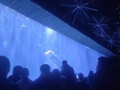 -华夏文旅西安度假区