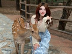 -南戴河国际娱乐中心