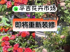-平吉花卉市场