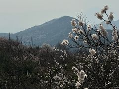 -香山公园