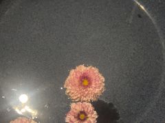 -泰合玺·精油疗愈 SPA(南京河西万达店)