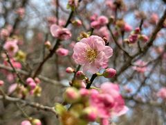 -广东温泉宾馆