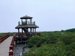 -北海金海湾红树林生态旅游区