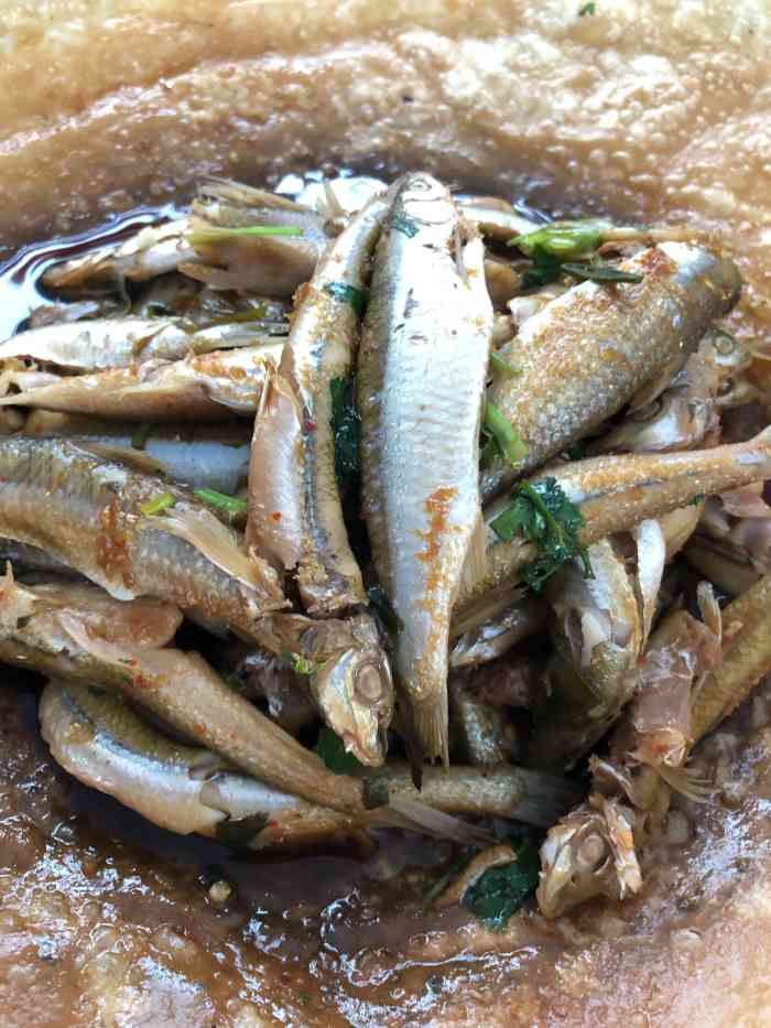 殷家小馆-"「酸汤鱼圆」鱼圆软嫩,酸汤反正就是醋 白.