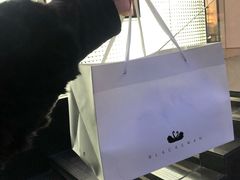 -BLACKSWAN黑天鹅(环球店)
