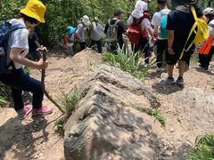 -青龙山国家森林公园