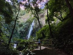 -莫里热带雨林景区