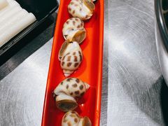 -水哥卜卜贝(东晓·胜汇里店)