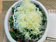 -油梨树AVOCADO TREE(望京店)