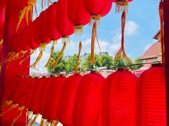 -第35届青岛国际啤酒节