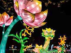 -琅岐红光湖公园