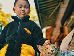 -七叔是岛民(花基新村店)