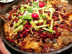 老板恋上鱼-老板恋上鱼(高新万达店)