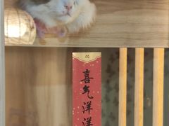 -白兔子密室(长寿路店)