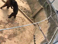 -无锡动物园·太湖欢乐园