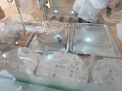 -杨招娣糕点(装驾桥巷店)