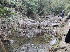 -象头山国家级自然保护区