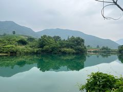 -龙坞茶村