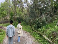 -青龙山国家森林公园