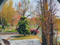 -映月湖公园