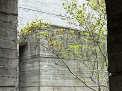 -鹿野苑石刻艺术博物馆