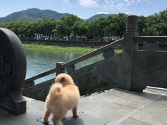 -溪口-滕头旅游景区