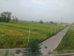 -红土地(地铁站)