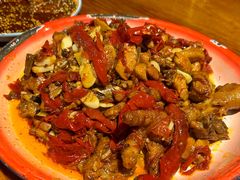 -柴窝堡22号辣子鸡·传承新疆菜