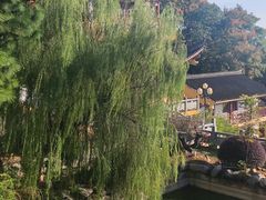 -汤山公园