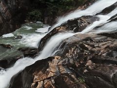 -广州白江湖森林公园