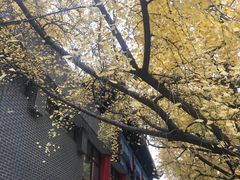 -四川大学(华西校区)