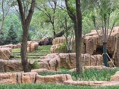 -北京野生动物园