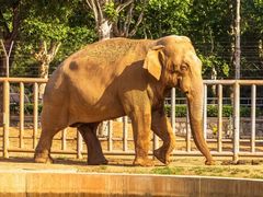 -石家庄市动物园