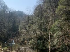 -龙苍沟森林公园