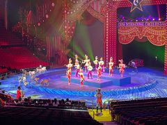 -珠海横琴长隆《卡卡虎奇遇记》