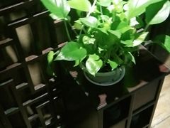 -净耳阁采耳文化体验馆(华强北店)