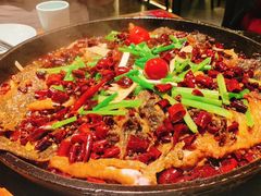 -老板恋上鱼(振华商厦店)